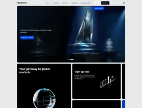 Blueberry Markets logo